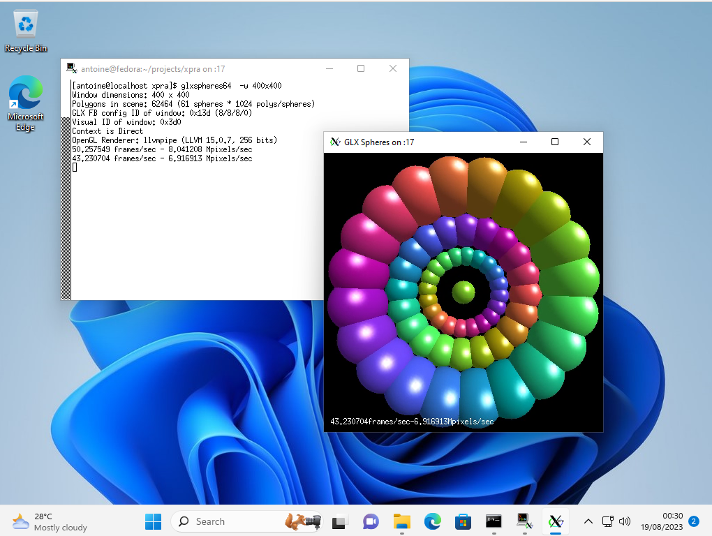 Remote Linux applications displayed on a Windows desktop